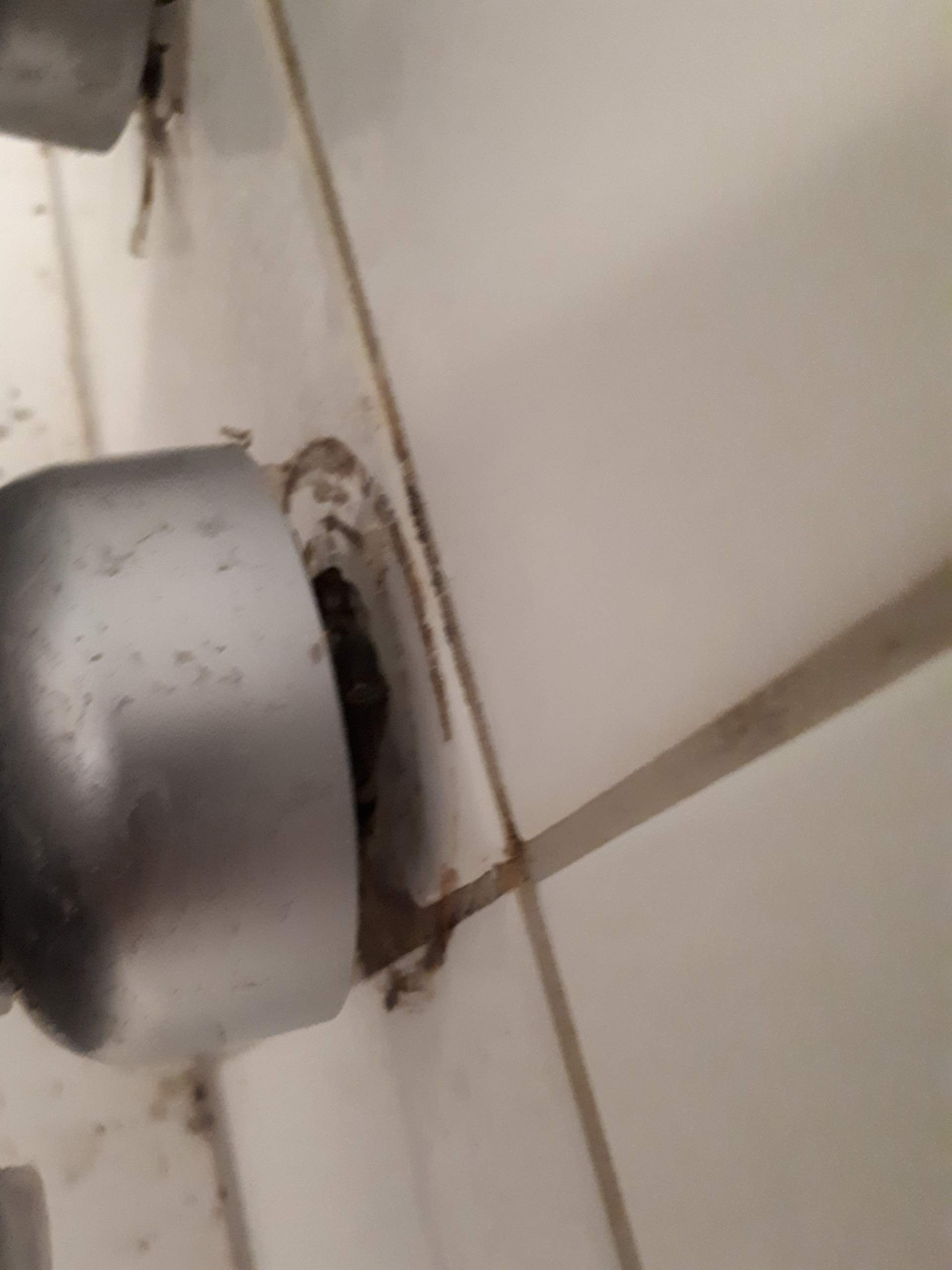 Badewannenarmatur löst sich nicht? (Wasser, Badezimmer, Heimwerker)