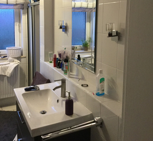 Badezimmer Mit Rigips Sanieren Renovieren Dusche Fliesen
