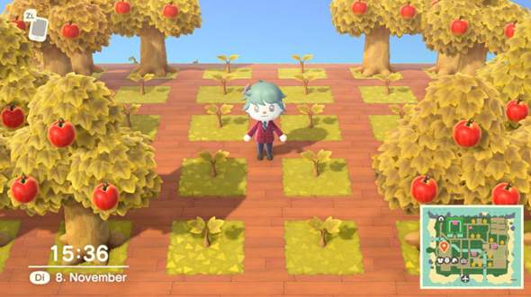 Bäume in Animal Crossing New Horizons wachsen nicht?