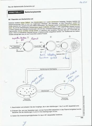 Bakterienplasmide - (Biologie, Gen, Resistenz)