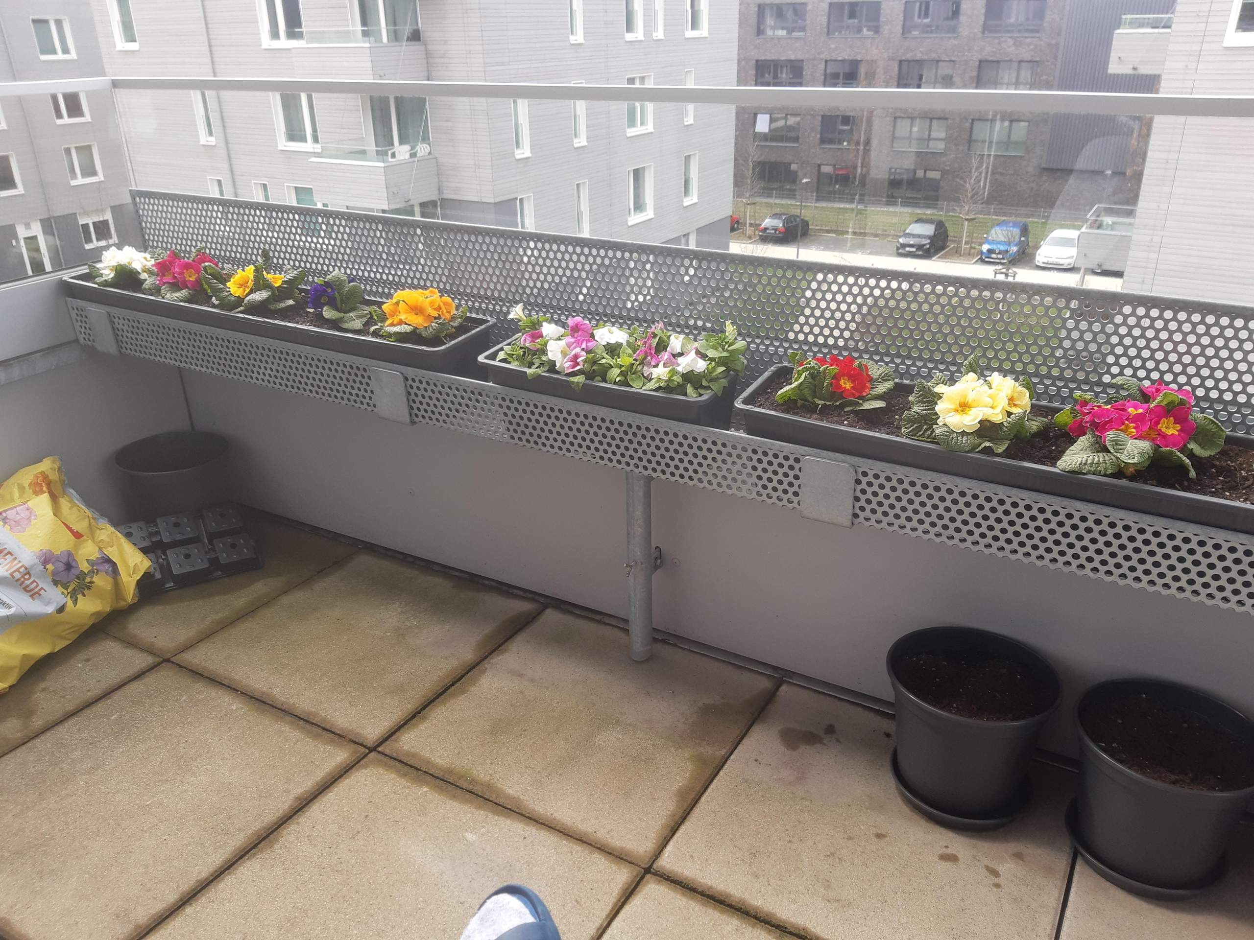 Balkonplanzen Staunässe? (Wasser, Blumen, Pflanzenpflege)