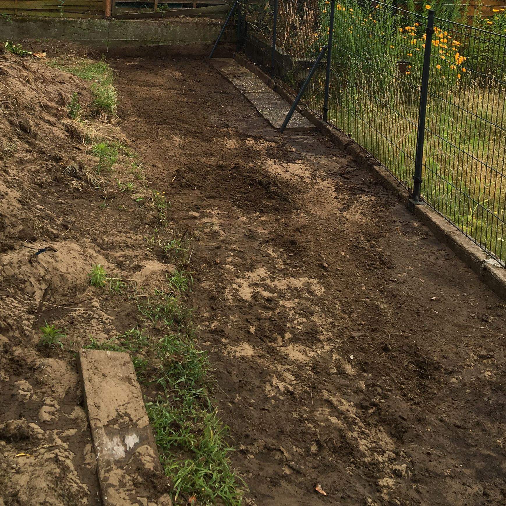 bambus fargesia jiuzhaigou no 1 Rhizomsperre erforderlich? (Garten,  Nachbarschaftsrecht)
