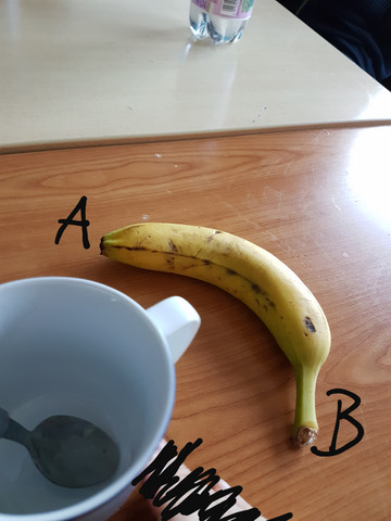 Banane richtig öffnen?