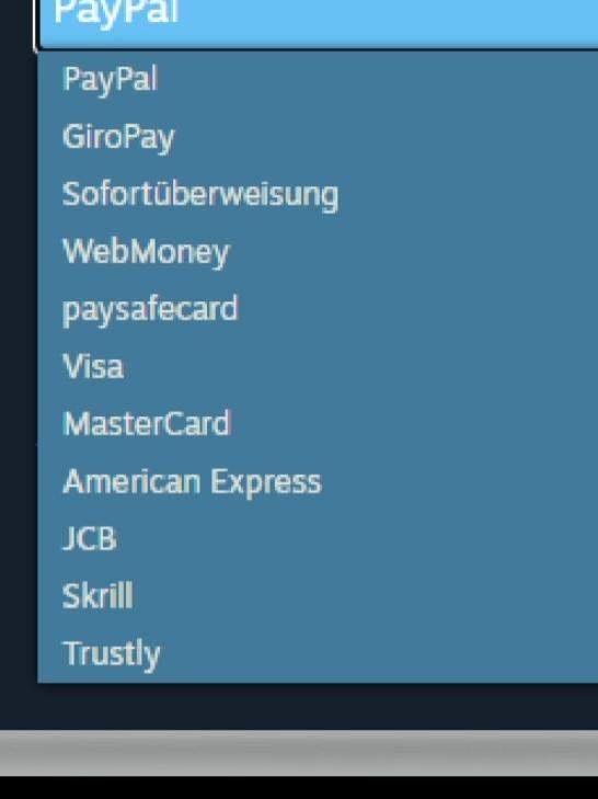 Bankkarte: Welche Zahlungsmethode ist die richtige? (Geld, Wirtschaft ...