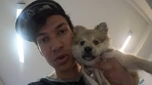 Cheng und Cookie - (Hund, Rasse)