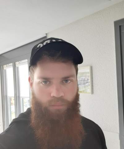 Bild zum Beitrag
