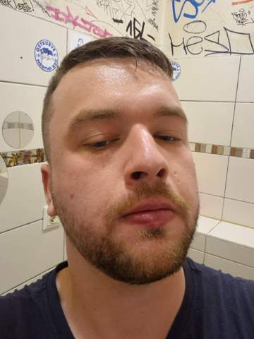Bild zum Beitrag