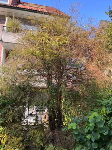 Bild zum Beitrag
