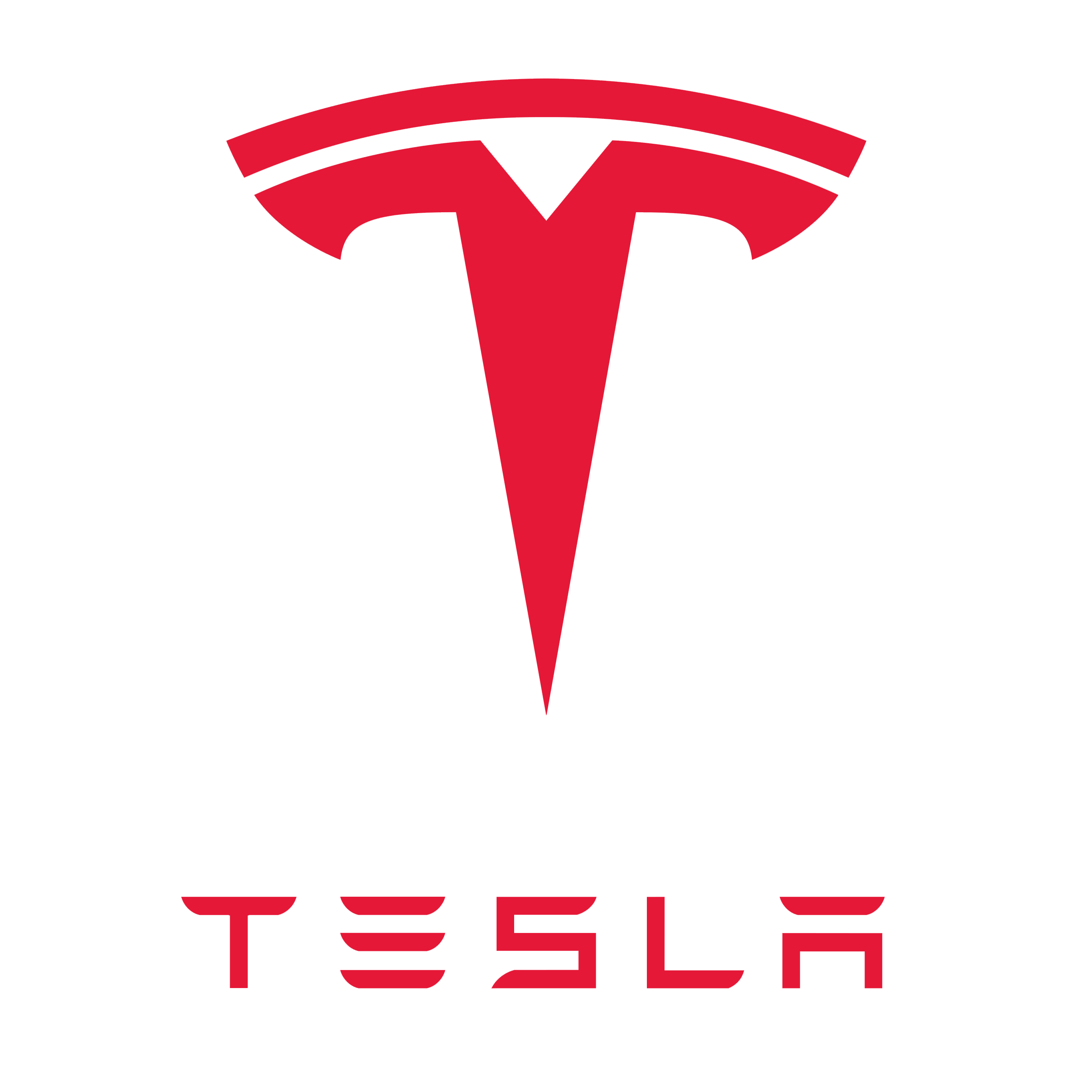 Bedeutung des Tesla Logos? (Technik, Auto, Umfrage)