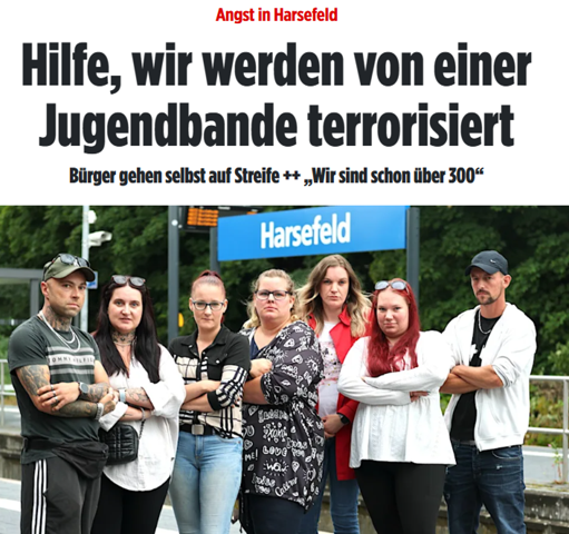 Bild zum Beitrag