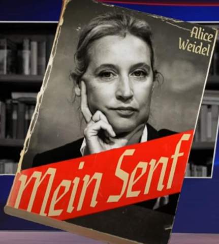Bild zum Beitrag