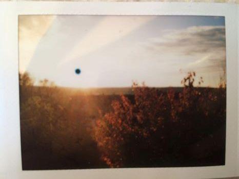 Bild mit Sonne - (Polaroid, Fujifilm, Sofortbild)
