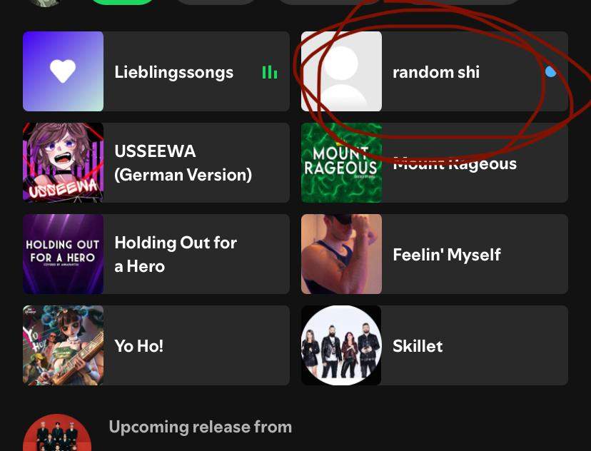 Bei Spotify random playlist?