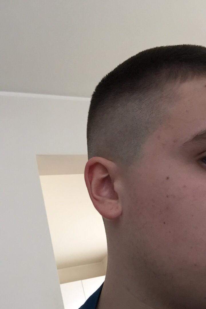 Beim Buzzcut bleiben oder wieder wachsen lassen? (Haare, Männer, Frisur)