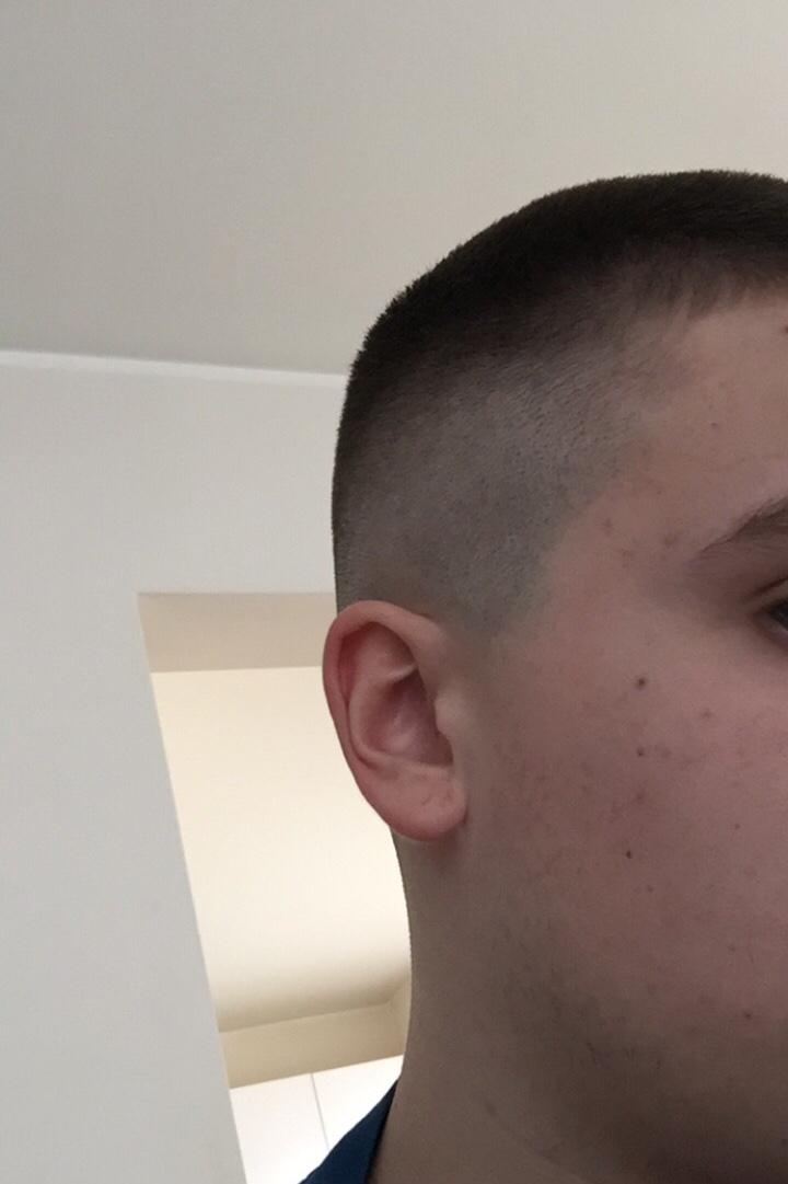 wieder wachsen lassen