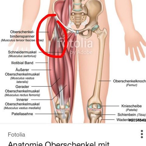 Bein Becken Tut Weh Was Habe Ich Gesundheit Und Medizin Arzt Muskeln Bein Becken Tut Weh Was Habe Ich Gesundheit Und Medizin Arzt Muskeln