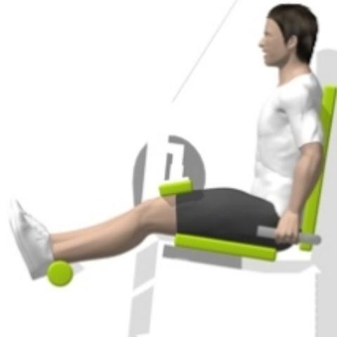 Sitzender Beinbeuger - (Fitness, Training, Fitnessstudio)