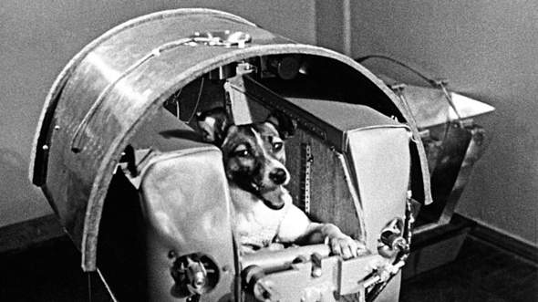 Bekam Laika, das 1. Lebewesen im Weltraum posthum einen Orden oder sonstige Ehrungen? Oder geriet sie in Vergessenheit?