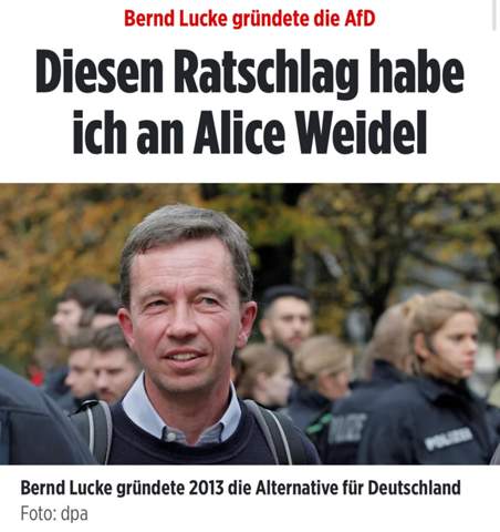 Bild zum Beitrag