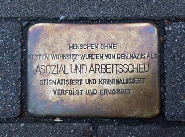 Bild zum Beitrag