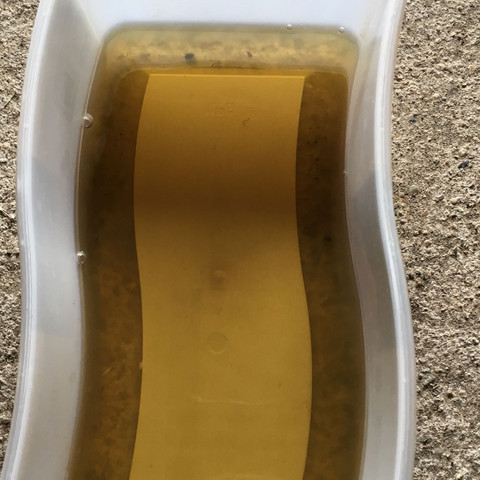 Benzin Farbe - Ist das Zweitaktmischung? Oder kann das auch Normal/Super Benzin ohne Öl sein ...