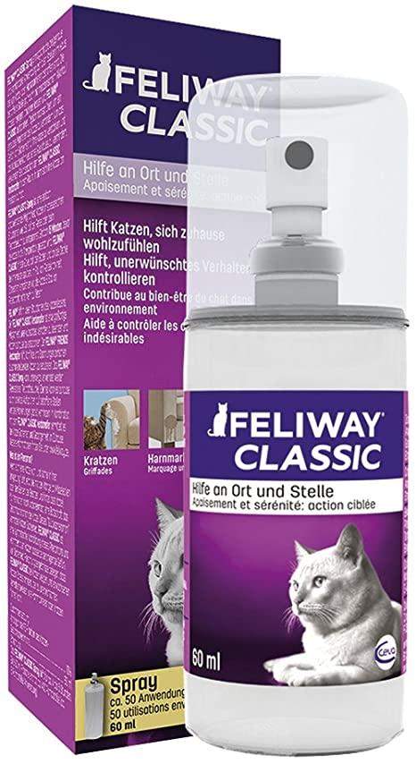 Beruhigung für Katzen? (Tierarzt, Umzug, Tierhaltung)