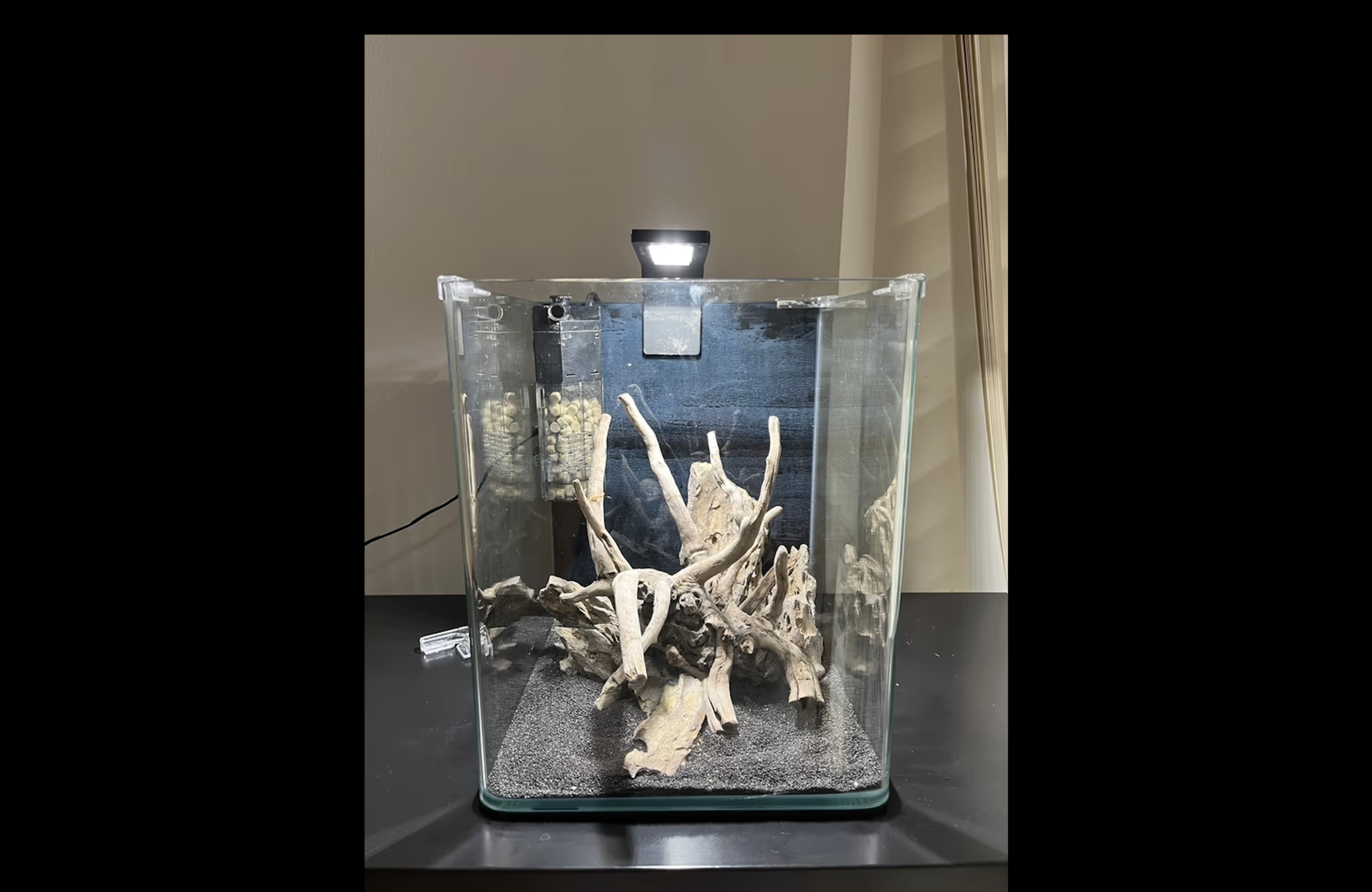 Besatz Fur Nano Aquarium