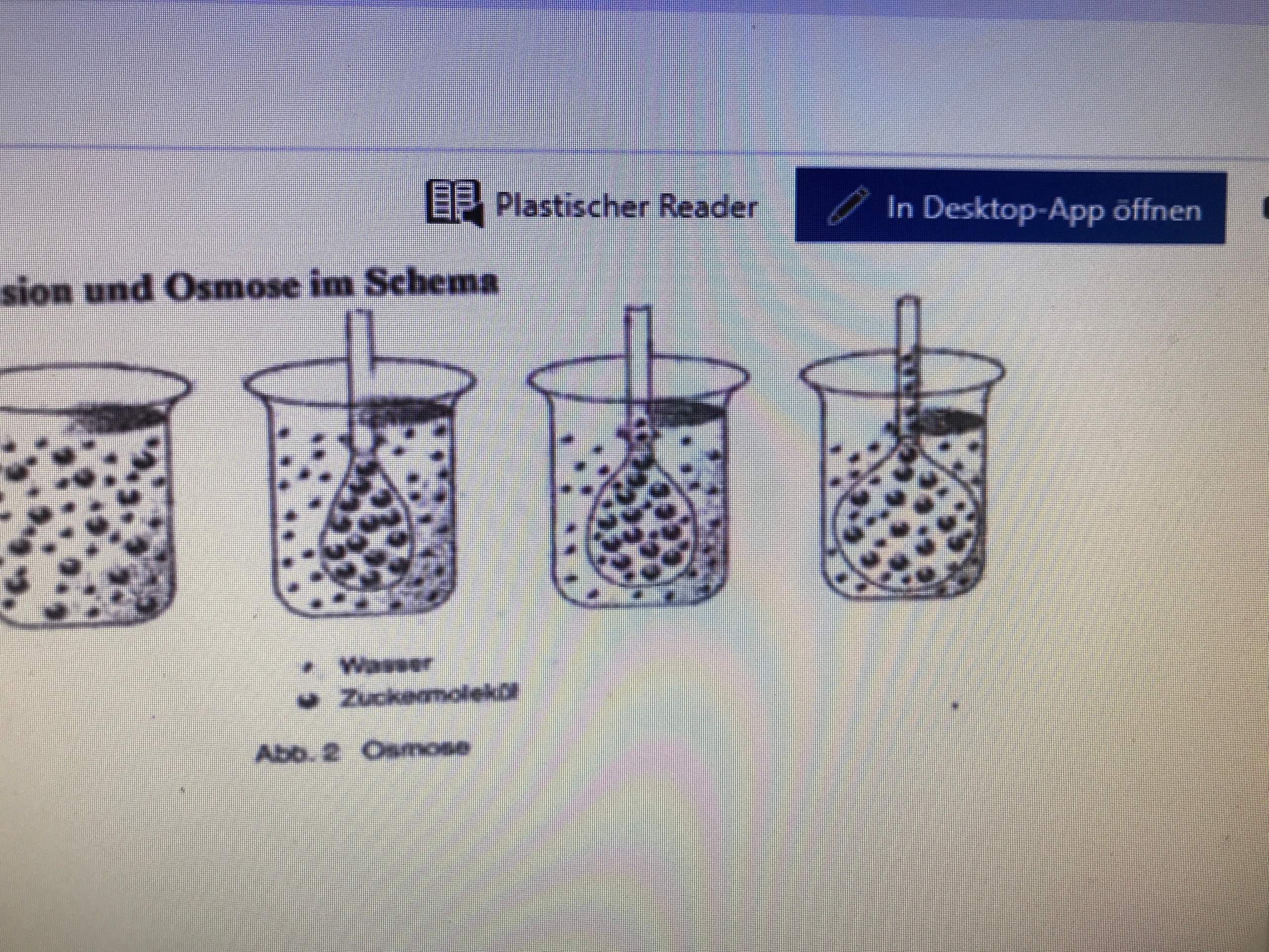 Beschreibung Von Osmose Abbildung Schule Chemie Biologie