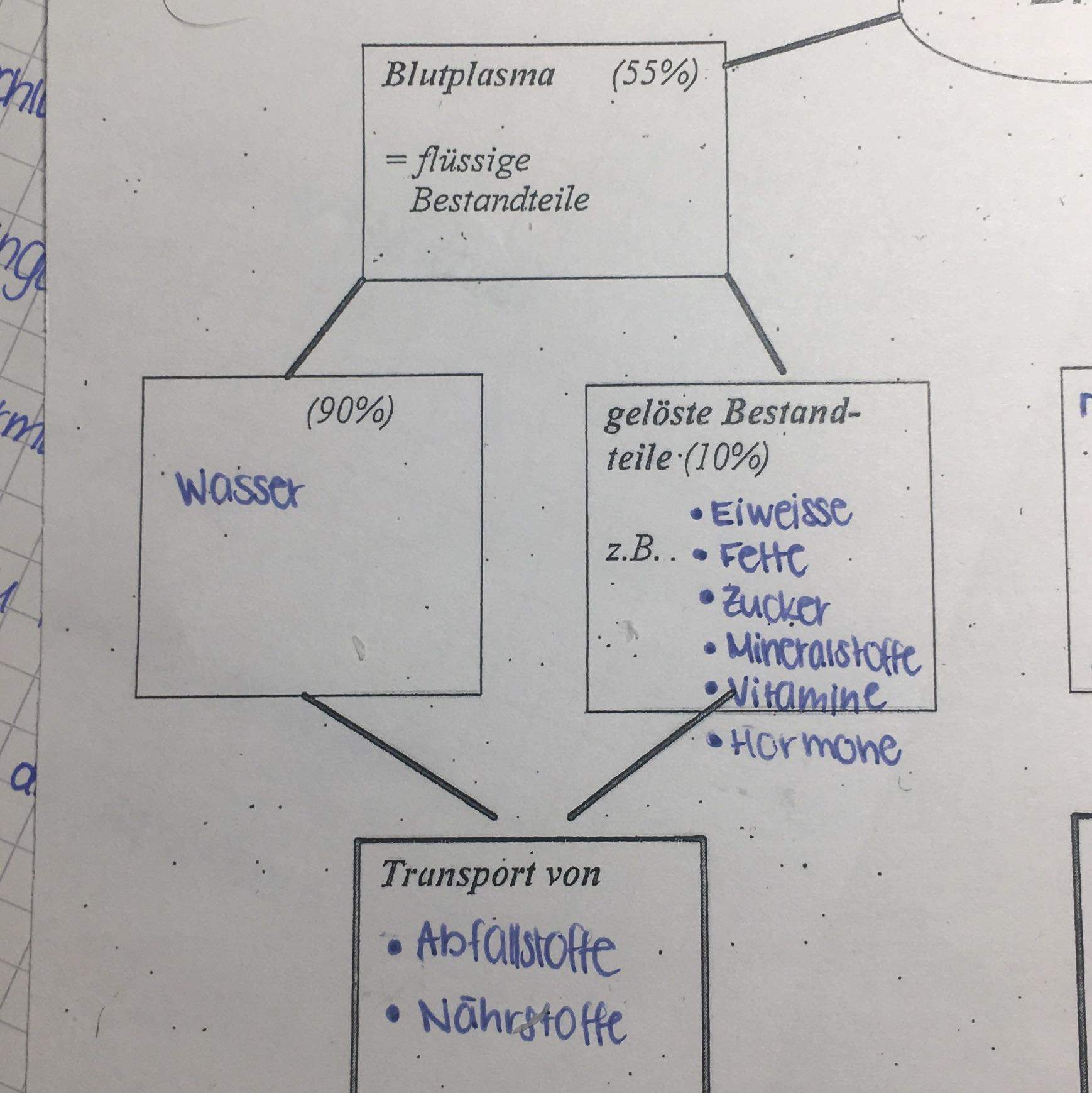 Bestandteile Blutplasma Schule Gesundheit Und Medizin Biologie Bestandteile Blutplasma Schule Gesundheit Und Medizin Biologie