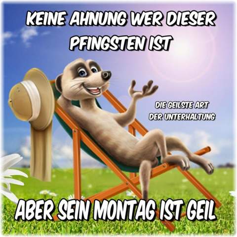 Bild zum Beitrag