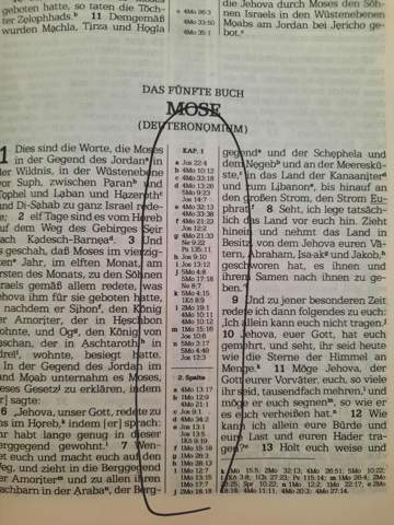 Bild zum Beitrag