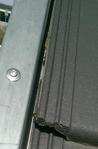 Marder dachziegel Marder dachziegel