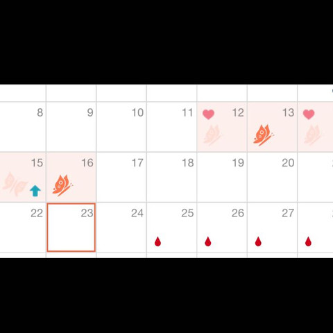 Bild Des Einsprungskalender Konnte Es Geklappt Haben Sex Schwanger Eisprung Bild Des Einsprungskalender Konnte Es Geklappt Haben Sex Schwanger Eisprung