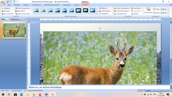 Bild in PowerPoint freistellen? (Computer, Schule, Technik)