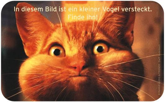 Bildbearbeitung Auf Diesem Bild Ist Ein Vogel Versteckt Finde Ihn Katze Kostenlos Gimp