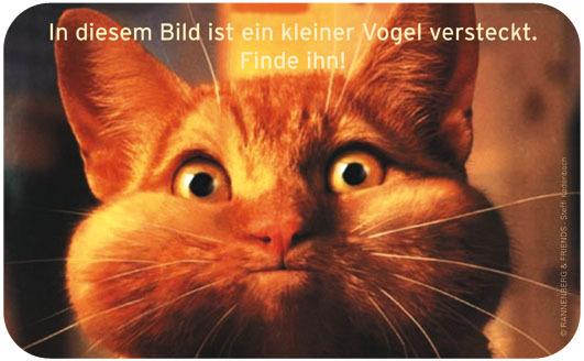 Bild zu Frage