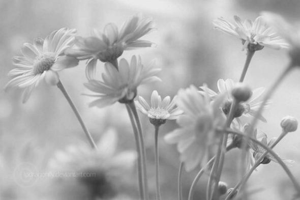 Bilder Aus Dem Internet In Richtige Grosse Umwandeln Um Sie Drucken Zu Lassen Foto Wissen Ausdruck