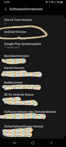 Bildschirm aufnehmen ohne Apps? (Android 11)?