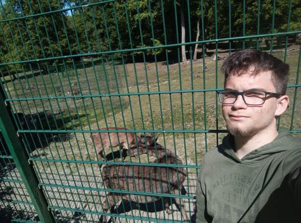 Bild zum Beitrag