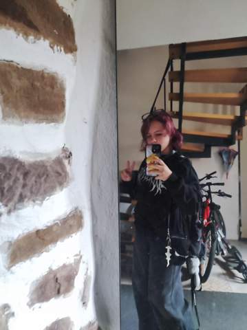 Bild zum Beitrag