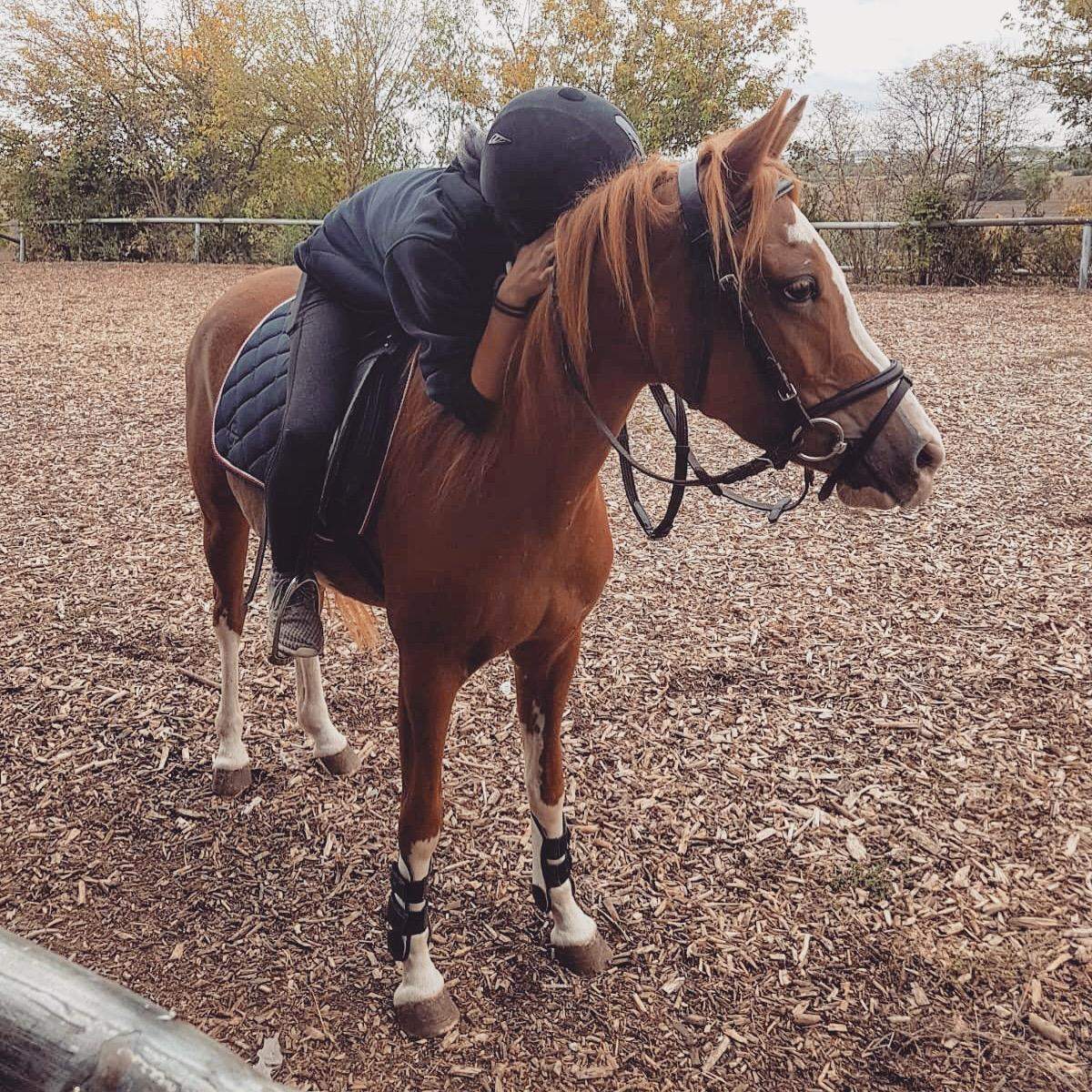 Bin ich zu groß für sie(pony)? (Pferd, Gewicht, Reiten)