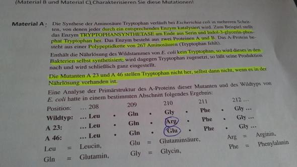 Bio- LK Klausur- Berichtigung Thema Genetik!? (Biologie, Mutation)