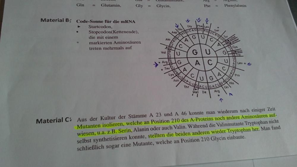 Bildung.bremen Biologie Lk Klausur 2019 www.gutefrage.net