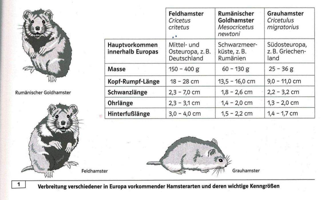 Bio Klimategeln Schule Biologie