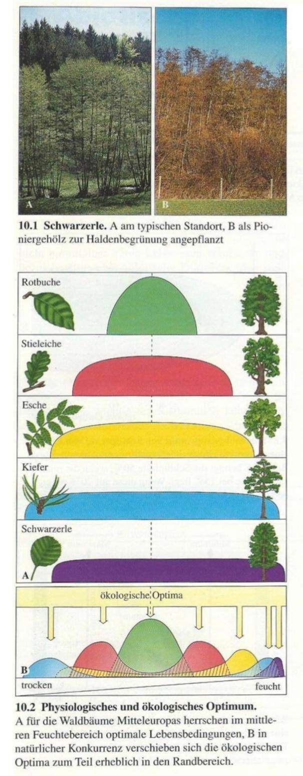 ökologische Und Physiologische Potenz Bio physiologische und ökologische potenz