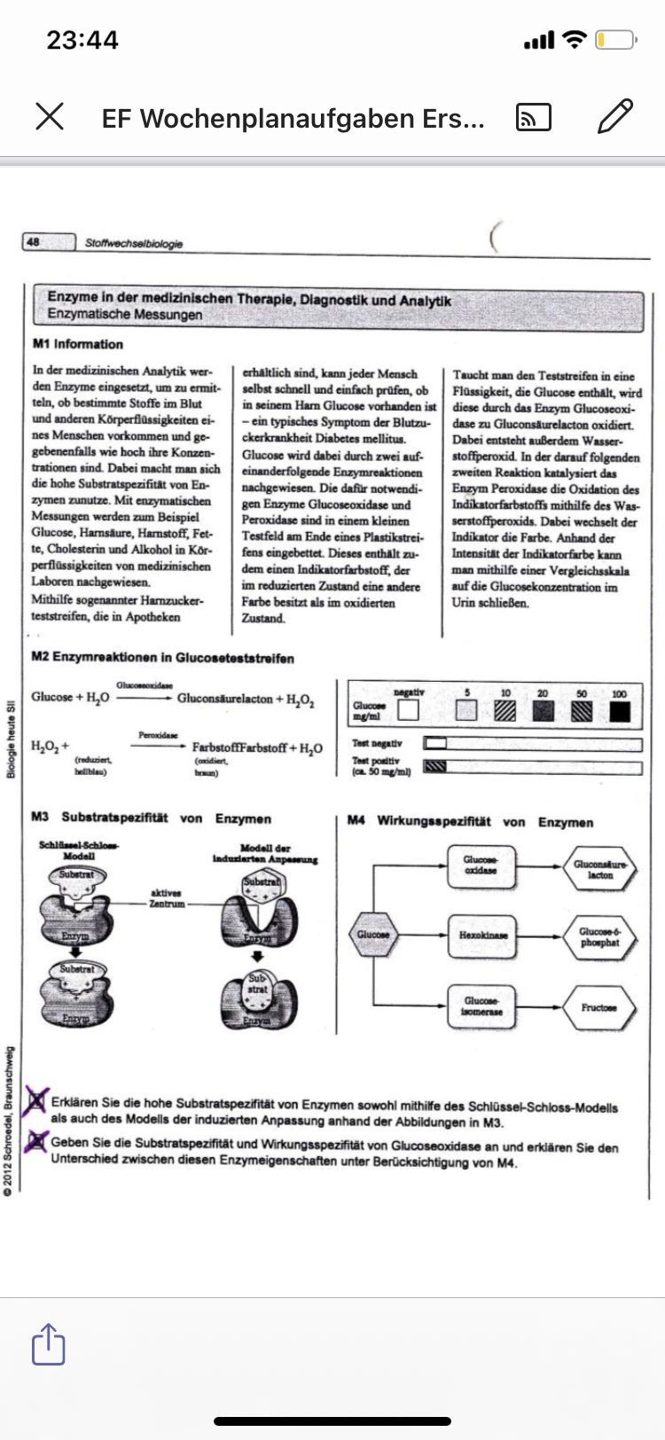 Bio Thema Enzyme wichtige Hausarbeit jemand behilflich? (Schule