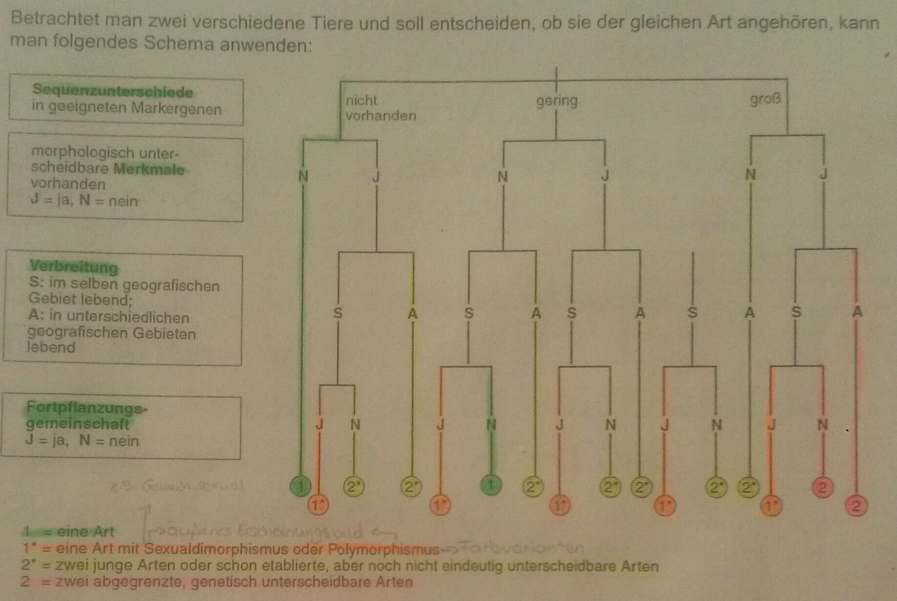 Was Ist Eine Art Biologie