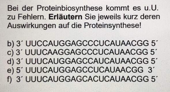 Biologie - Proteinbiosynthese?