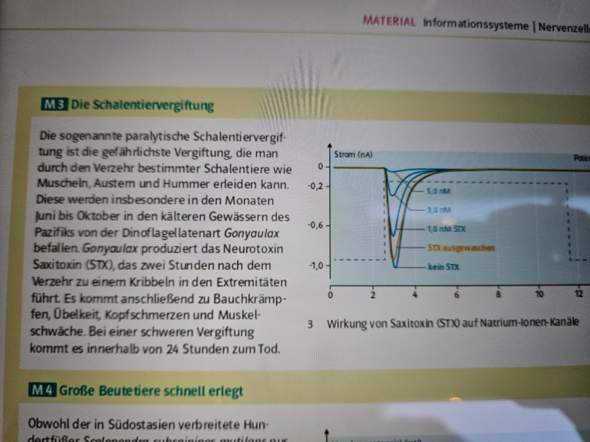 Biologie? (Schule, Studium, Bio)