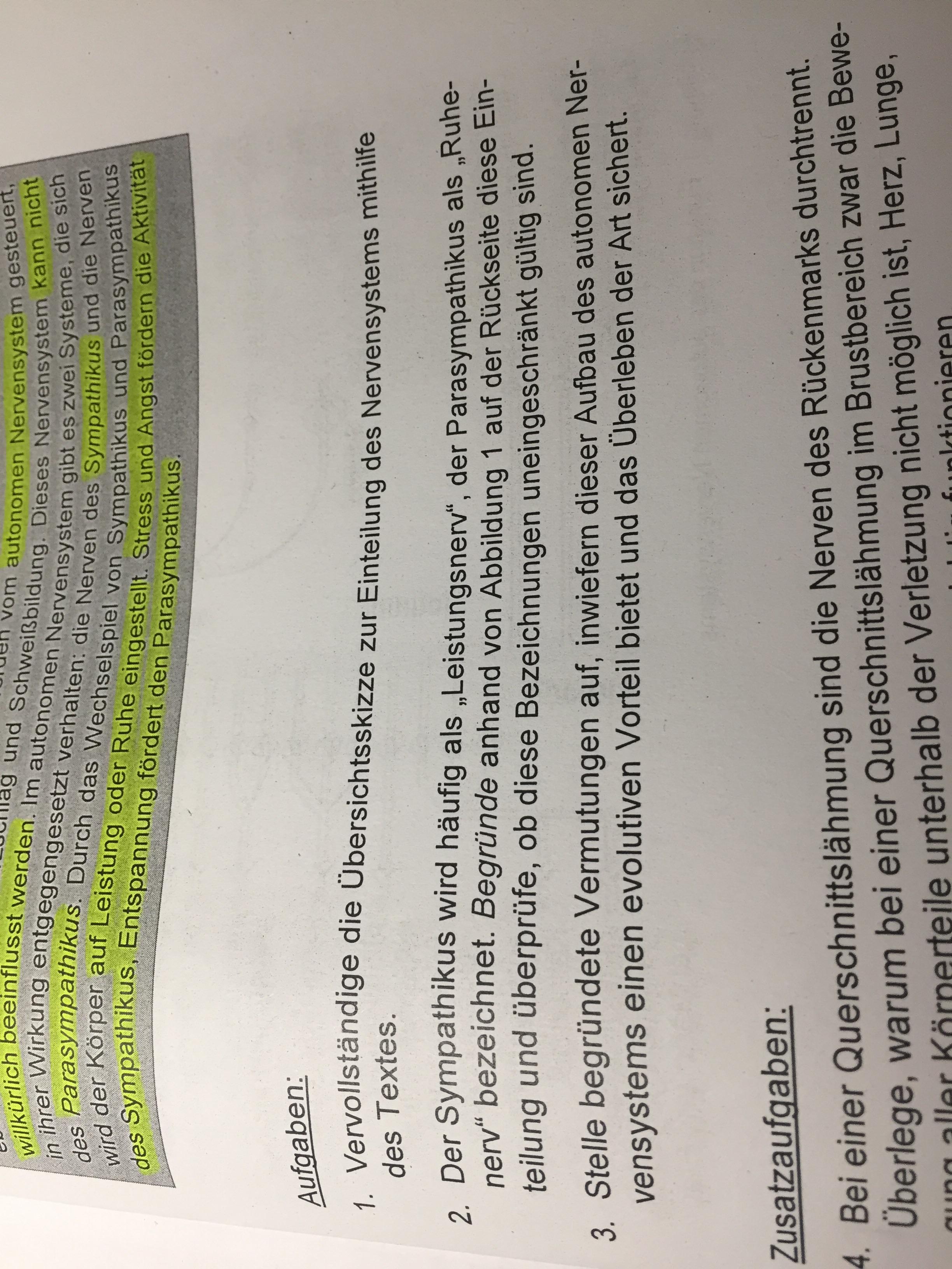 Biologie Autonomes Nervensystem Para Sympathikus Wie Lose Ich Diese Aufgabe Schule